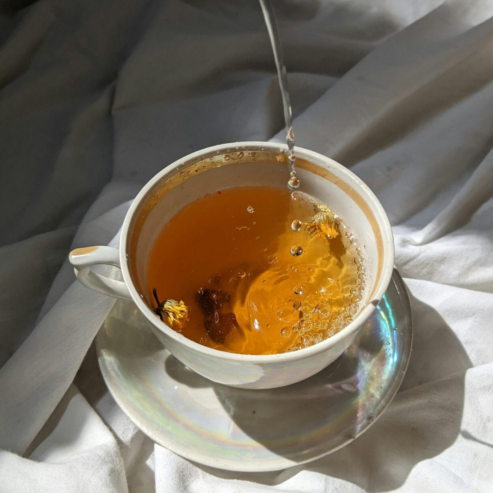 pexels lizzy honey 393939457 18031840